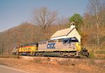 CSX 8317